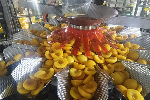 固體灌裝機(jī)